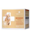 Recoactiv Renal Renal for Cats 3 x 90 ml high-caloric diet all-in feed for kidney dysfunction and increased energy requirement in the convalescence for weight gain 90 ml (3-pack) - Buy Online on GoSupps.com