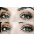 Buy Very Covering Natural Green Contact Lenses - Silicone Comfort Novelry Jasmine Green | 1 Pair (-5.50 Diopters DIA 14.00) + Free Container - Glamlens - Buy Online on GoSupps.com
