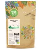 Wholefood Earth Organic Green Lentils 3kg GMO Free | Vegan | High Fibre | High Protein | Certified Organic - Buy Online on GoSupps.com