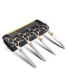 Jason Professional Dog Cup Set - 6 in 1 Fur Scissors for Dogs | 7 Straight Curved Chunker & Thinning Scissors with Ergonomic Handle Rose Gold - Buy Online on GoSupps.com