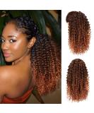Colorfulpanda Afro Kinky Curly Ponytail 14inch - Black/Auburn Synthetic Hair Extension for Black Women - Buy Online on GoSupps.com
