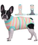 Kuoser Dog Body After Surgery - Breathable Protective Collar for Male/Female Dogs & Cats - XS Purple Stripes - Leak Protection & Comfort - Buy Online on GoSupps.com