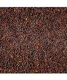 Organic Mustard Seeds 200g: Premium Quality Seeds for Cooking and Seasoning - Buy Online on GoSupps.com