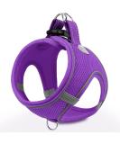 Joyal Reflective Soft Padded Dog Dishes - Air-Mesh Breathable for Small & Medium Dogs | Purple L (47-55cm) - Buy Online on GoSupps.com