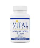 Vital Nutrients American Ginseng 250mg - Energy Support for Mental and Physical Endurance - 100 Vegetarian Capsules - Buy Online on GoSupps.com