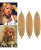 LPARMJIT 16 Springy Afro Twist Hair Extensions - 3 Packs of Kinky Marley Twist for Soft Butterfly Locs - Pre-Fluffed 27/613 Color - Buy Online on GoSupps.com