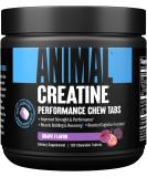 Animal Creatine Chews Tablets - Enhanced Creatine Monohydrate with AstraGin to Improve Absorption, Sea Salt for Added Pumps, Delicious and Convenient Chewable Tablets - Grape - Buy Online on GoSupps.com