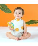 Bright Starts Baby Rattle & BPA-Free Teether Toy, Ages 3 Months+ Grab & Spin Rattle - Buy Online on GoSupps.com
