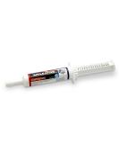 Equine America Apple Lytes Syringe 2 x 15ml Servings - Buy Online on GoSupps.com