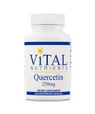 Vital Nutrients Quercetin 250 mg 100 Vegetarian Capsules - Buy Online on GoSupps.com
