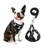 Rennaio No Pull Dog Harness & Leash Set - Adjustable Ultra Breathable Padded Puppy Dishes for Small & Medium Dogs - Black M - Buy Online on GoSupps.com