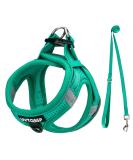 Buy Green Padded Dog Harness for Small Dogs - Comfortable XS Puppy Harness for Ultimate Control & Support - Buy Online on GoSupps.com