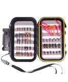 Wifreo 54 Nymph Flies Assortment BH Wet Fly for Trout Fly Fishing with Waterproof Fly Box - Buy Online on GoSupps.com