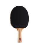 JOOLA Omega Control Ping Pong Paddle - Tournament Performance Table Tennis Racket for Advanced Training - Flared Handle with Adapter 32 Rubber - Designed for Control - Buy Online on GoSupps.com