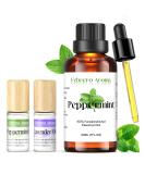 100% Pure Peppermint Extract - Refreshing Mint Oil Flavor for Focus | 30ml + Bonus Travel Size 10ml Peppermint & 10ml Lavender Roll-On Essential Oils - Buy Online on GoSupps.com