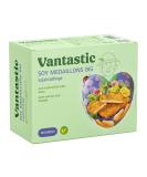 Vantastic Foods Big Steaks 500g | Vegan Meat Substitute | High-Protein Soya Steaks | Delicious Vegan Schnitzel for Frying - Buy Online on GoSupps.com