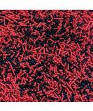 Red and Black Sprinkles Mix - 35g of Red and Black Cake Toppers or Cupcake Decorations - Buy Online on GoSupps.com