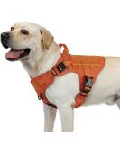 Rabbitgoo No Pull Dog Harness for Medium & Large Dogs | Tactical Military Vest with Metal Buckle & Adjustable Padding - Breathable Safety Harness in Orange (1 Pack) - Buy Online on GoSupps.com