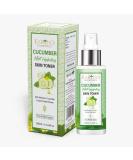 Buy Ayurvedic Cucumber Mint Hydrating Toner - Pore Tightening with Aloe Vera & Carrot Seed Extract | 100ml - International Shipping Available - Buy Online on GoSupps.com