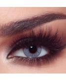 Buy Bella 1-Day Bluish Gray Colored Lenses - Natural Look for Dark Eyes | 10x Daily Lenses No Prescription Needed - Buy Online on GoSupps.com