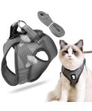 Premium Cat Dishes & Harness Set for Outdoor Walking | Cat Leash & Feeding Solutions - Buy Online on GoSupps.com