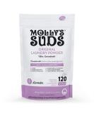 Molly's Suds Original Laundry Detergent Powder - Natural, Stain-Fighting Formula for Sensitive Skin - Lavender Scent, 120 Loads - Buy Online on GoSupps.com