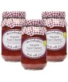 Mrs Darlington's Autumn Fruit Chutney - 312g - Pack of 3 - Buy Online on GoSupps.com