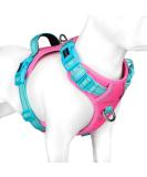PHOEPET No Pull Dog Harness | Reflective Adjustable Vest for Small Medium Large Dogs | Pink Base & Green Straps | Size M - Buy Online on GoSupps.com