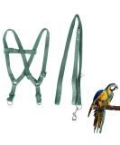Felenny Bird Dishes & Adjustable Leash - Essential Outdoor Accessories for Scarlet Red Ara Sun Conure & Nymphensittich (Green Small) - Buy Online on GoSupps.com