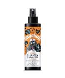 Bugalugs Insect Bite Relief Antiseptic spray for dogs 200ml puppy cats & pets - Dog grooming Antibacterial Antifungal for dog itchy skin relief - use alongside our flea shampoo for dogs - Buy Online on GoSupps.com