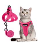 Fayogoo Cat Dishes - Leak-Proof Linen Cat Bowls for Safe Feeding | International Shipping Available - Buy Online on GoSupps.com