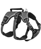 Heele Reflective Dog Harness - Breakout Buckle Robust Handle & Panic Clip for Secure Comfort - Fits Like a Glove - Black SS - Buy Online on GoSupps.com