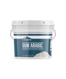 Earthborn Elements Gum Arabic (1 Gallon) - Acacia Resin for Various Applications - Resealable Bucket - 128 Fl Oz - Buy Online on GoSupps.com