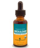 Herb Pharm Organic Umckaloabo Liquid Extract - Respiratory System Support - 1 Fl Oz - Buy Online on GoSupps.com