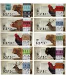 Epic Bars 100% Animal-Based Whole Protein Sampler Pack - 10 Assorted Variety Bars in Sanisco Packaging - Buy Online on GoSupps.com