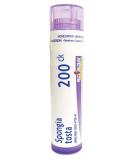 Boiron Spongia Tosta 200ck - Homeopathic Medicine for Croupy Cough | 80 Pellets - Fast International Shipping - Buy Online on GoSupps.com