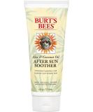Burt's Bees Lotion, Hydrating Aloe & Coconut Oil Sun Burn Relief, Natural After Sun Soother, 6 Ounce (Packaging May Vary) After Sun Soother 6oz Single - Buy Online on GoSupps.com