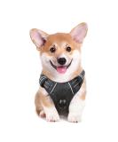 Shop Heele No-Pull Dog Harness & Medium-Sized Dog Crockery | Soft Breathable Reflective Padded Handle - Black - Buy Online on GoSupps.com