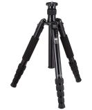 Sirui T-2005X TX Series Aluminum Tripod Legs - 61 Height, 5 Section - Buy Online on GoSupps.com
