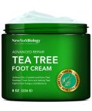 New York Biology Tea Tree Oil Foot Cream - 8 oz | For Dry Cracked Feet, Athletes Foot, Nail Fungus | Pain-Relieving, Itchy Skin Relief | 1 Pack - Buy Online on GoSupps.com