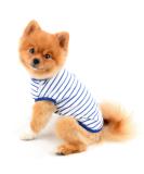 Paidful British Dog Shirt | Soft Cotton Striped Vest for Dogs & Cats | Summer Pet T-Shirt for Puppies Chihuahuas & Yorkies - Blue XL - Buy Online on GoSupps.com