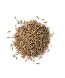 Caraway Seeds 125g (BWFO) - Buy Online on GoSupps.com