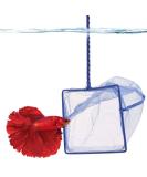 SunGrow Betta Fish Net - 5x4 Inches with 11 Inches Handle - Extra Soft Nylon for Delicate Fin Protection - Ideal for Easy Aquarium Tank Maintenance - Buy Online on GoSupps.com