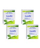 Buy Boiron Gasalia Gas Relief - Homeopathic Treatment for Bloating & Gas Pain - 60 Tablets (Pack of 4) - Effective International Shipping - Buy Online on GoSupps.com