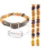 Raw Baltic Amber Collar for Dogs and Cats with real adjustable Leather Strap for small medium and big dogs and cats - made from 100% Genuine Baltic Amber Beads - Buy Online on GoSupps.com