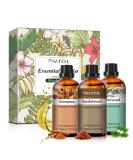 Pure Aromatherapy Essential Oils Gift Set - Cinnamon Sandalwood & Cedarwood - 3 Pack 1.01 Fl Oz for Relaxation Diffuser Massage & Skin Care - Buy Online on GoSupps.com