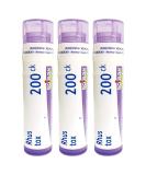 Boiron Rhus Toxicodendron 200ck Homeopathic Medicine for Joint Pain - Pack of 3 (240 Count) - Buy Online on GoSupps.com