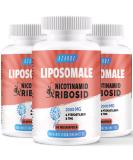 Liposomal Nicotinamid Riboside 2000 mg with TMG and Pterostilben |More efficient than NMN Boost NAD+ |Support of the cellular energy metabolism (60 pieces (3 -pack)) - Buy Online on GoSupps.com