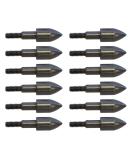 NAP Bullet Point Durable Steel Screw-in Archery Practice Field Tips - 12 Pack 100 Grain Black - Buy Online on GoSupps.com