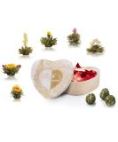 Creano Blooming Tea - 6 Heart-Shaped White Tea Flowers Gift Box | International Shipping - Buy Online on GoSupps.com